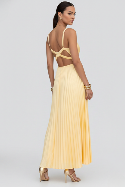 Women's Maxi Dress with Pleated Skirt and V‑Neck